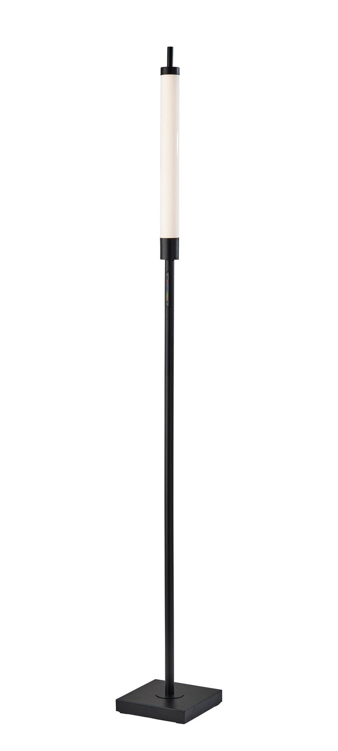 Collin LED Color Changing Floor Lamp Floor Lamps Black modern Style image 1